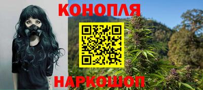 apvp Кунгур